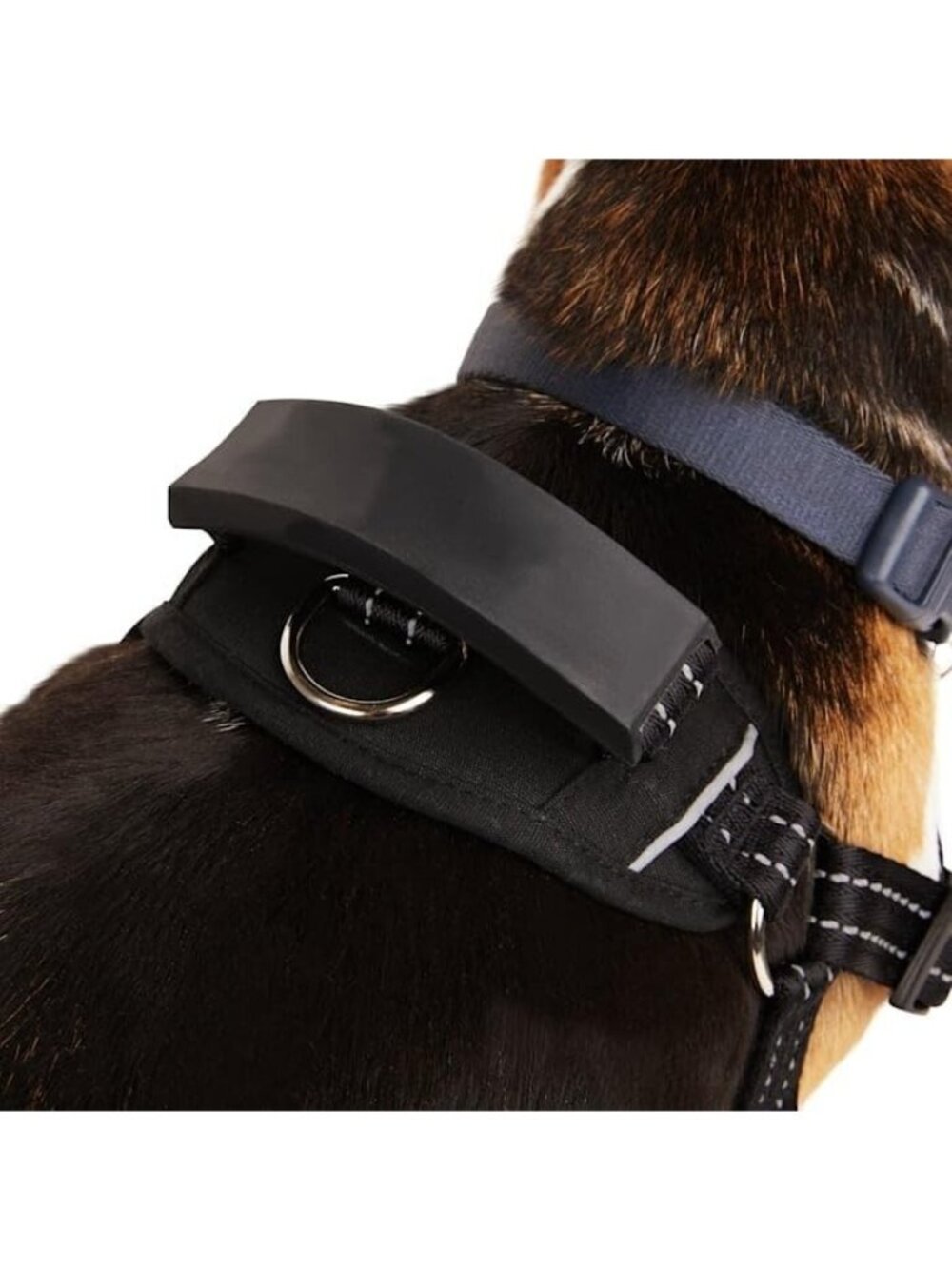 EveryYay Black Easy On Training Dog Harness XS Adjustable Petco Extra Small - Picture 5 of 10